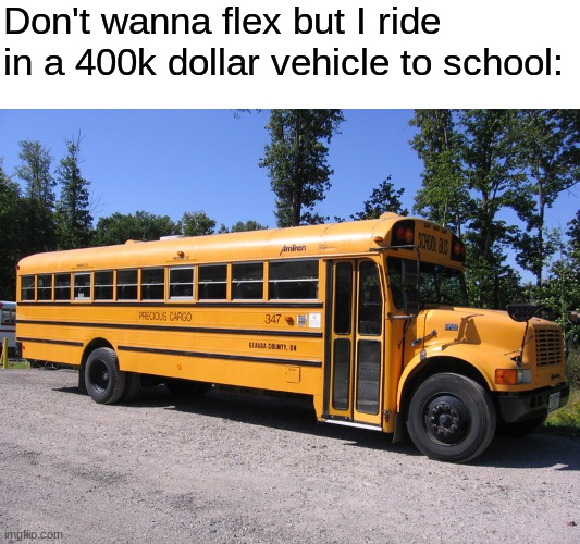 school bus | Don't wanna flex but I ride in a 400k dollar vehicle to school: | image tagged in school bus | made w/ Imgflip meme maker