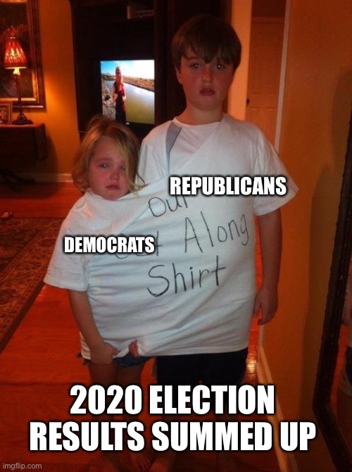 Get Along Shirt | REPUBLICANS; DEMOCRATS; 2020 ELECTION RESULTS SUMMED UP | image tagged in get along shirt | made w/ Imgflip meme maker