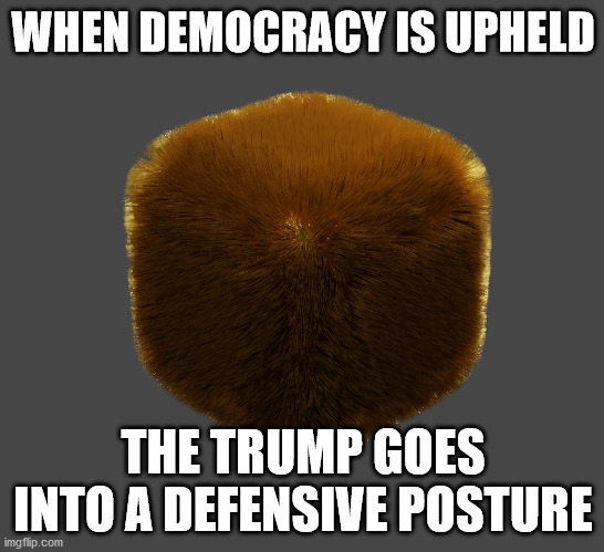 Trump's defensive posture | WHEN DEMOCRACY IS UPHELD; THE TRUMP GOES INTO A DEFENSIVE POSTURE | image tagged in donald trump,election 2020,self defense,blender | made w/ Imgflip meme maker