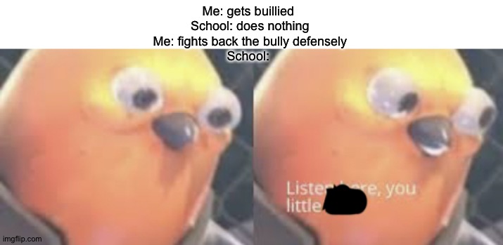 This is the problem with school and bullies | Me: gets buillied 
School: does nothing
Me: fights back the bully defensely
School: | image tagged in listen here you little shit bird,school,funny | made w/ Imgflip meme maker