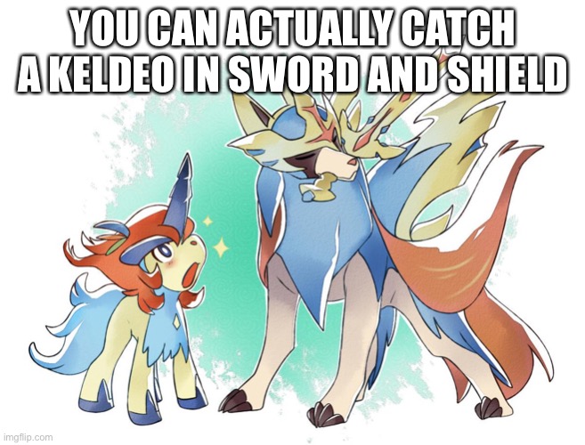 Google it, trust me | YOU CAN ACTUALLY CATCH A KELDEO IN SWORD AND SHIELD | made w/ Imgflip meme maker