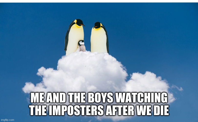 Penguins Watching | ME AND THE BOYS WATCHING THE IMPOSTERS AFTER WE DIE | image tagged in penguins watching | made w/ Imgflip meme maker