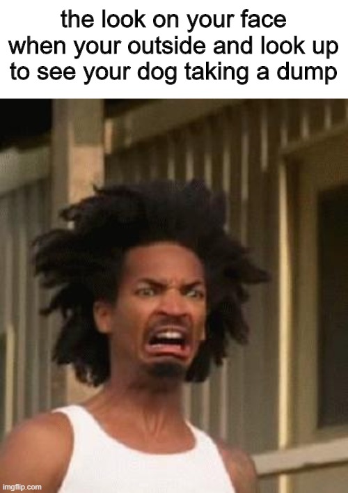 Uh- | the look on your face when your outside and look up to see your dog taking a dump | image tagged in kinky's nudes | made w/ Imgflip meme maker