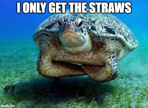 I ONLY GET THE STRAWS | image tagged in disappointed sea turtle | made w/ Imgflip meme maker