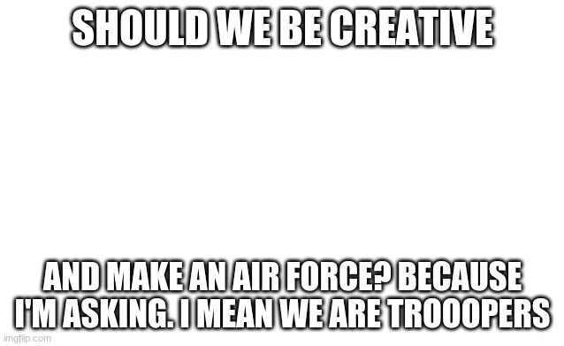 Blank image | SHOULD WE BE CREATIVE; AND MAKE AN AIR FORCE? BECAUSE I'M ASKING. I MEAN WE ARE TROOOPERS | image tagged in blank image | made w/ Imgflip meme maker