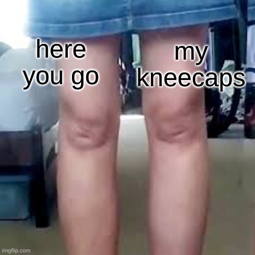 my kneecaps here you go | made w/ Imgflip meme maker