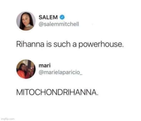 MITOCHONDRIA IS THE WAY OF LIFE | image tagged in twitter | made w/ Imgflip meme maker