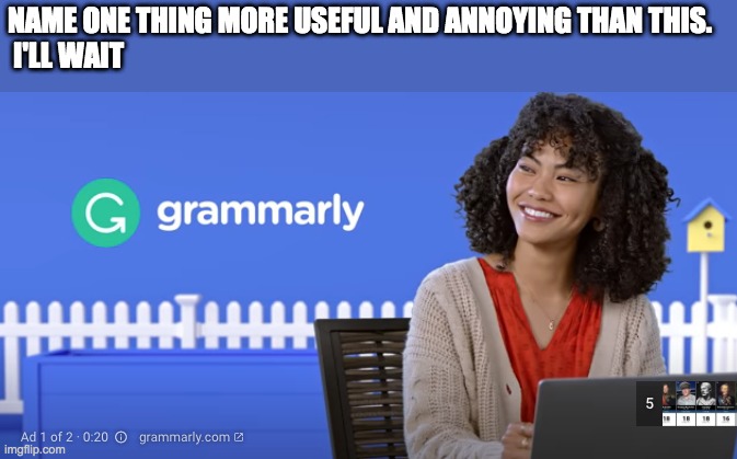 NAME ONE THING MORE USEFUL AND ANNOYING THAN THIS.
 I'LL WAIT | image tagged in youtube ads,grammarly | made w/ Imgflip meme maker