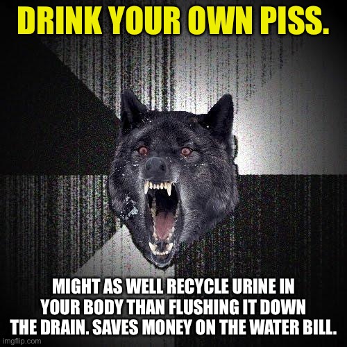 Drinking piss saves money on the water bill. Disclaimer, don’t do it. | DRINK YOUR OWN PISS. MIGHT AS WELL RECYCLE URINE IN YOUR BODY THAN FLUSHING IT DOWN THE DRAIN. SAVES MONEY ON THE WATER BILL. | image tagged in memes,insanity wolf,piss,water,money,toilet humor | made w/ Imgflip meme maker