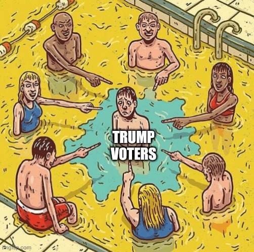 Trump voters right now | TRUMP VOTERS | image tagged in odd man out pee in the pool | made w/ Imgflip meme maker