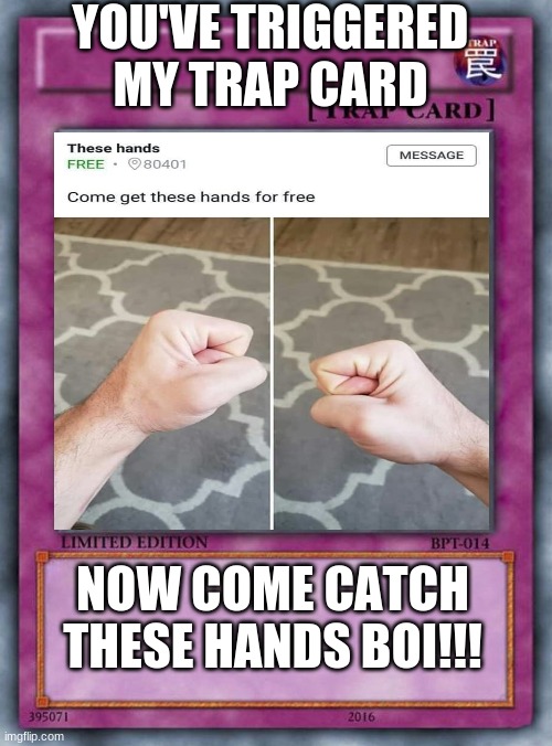 run them hands | YOU'VE TRIGGERED MY TRAP CARD; NOW COME CATCH THESE HANDS BOI!!! | image tagged in memes | made w/ Imgflip meme maker