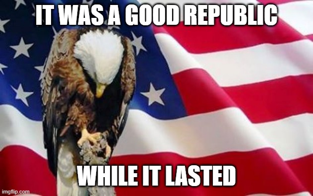 It Was A Good Republic While It Lasted | IT WAS A GOOD REPUBLIC; WHILE IT LASTED | image tagged in bald eagle bowing | made w/ Imgflip meme maker