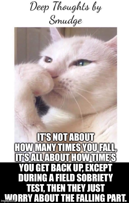 Woman yelling at cat | IT'S NOT ABOUT HOW MANY TIMES YOU FALL, IT'S ALL ABOUT HOW TIME'S YOU GET BACK UP, EXCEPT DURING A FIELD SOBRIETY TEST, THEN THEY JUST WORRY ABOUT THE FALLING PART. | image tagged in deep-thoughts-by-smudge | made w/ Imgflip meme maker