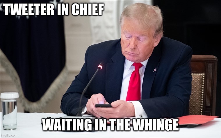 Waiting in the whinge Donald Trump | TWEETER IN CHIEF; WAITING IN THE WHINGE | image tagged in donald trump | made w/ Imgflip meme maker