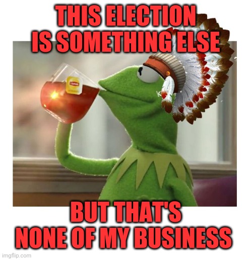 Native American Kermit | THIS ELECTION IS SOMETHING ELSE; BUT THAT'S NONE OF MY BUSINESS | image tagged in native american kermit | made w/ Imgflip meme maker