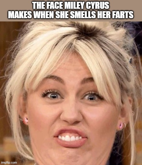 When Miley Cyrus Smells Her Farts | THE FACE MILEY CYRUS MAKES WHEN SHE SMELLS HER FARTS | image tagged in miley cyrus,face,smells,farts,funny,wtf | made w/ Imgflip meme maker