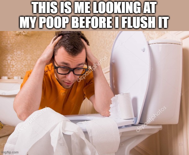 Looking At My Poop | THIS IS ME LOOKING AT MY POOP BEFORE I FLUSH IT | image tagged in poop,toilet,flush,toilet paper,funny,wtf | made w/ Imgflip meme maker