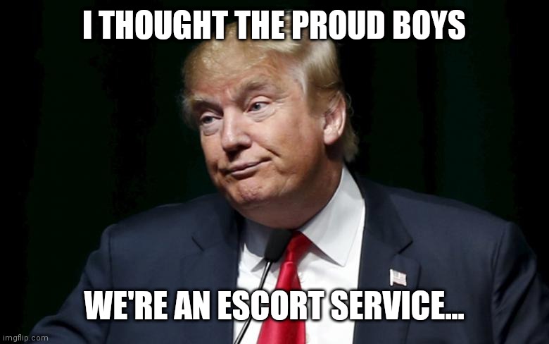 Donald Trump Loser | I THOUGHT THE PROUD BOYS; WE'RE AN ESCORT SERVICE... | image tagged in donald trump loser | made w/ Imgflip meme maker