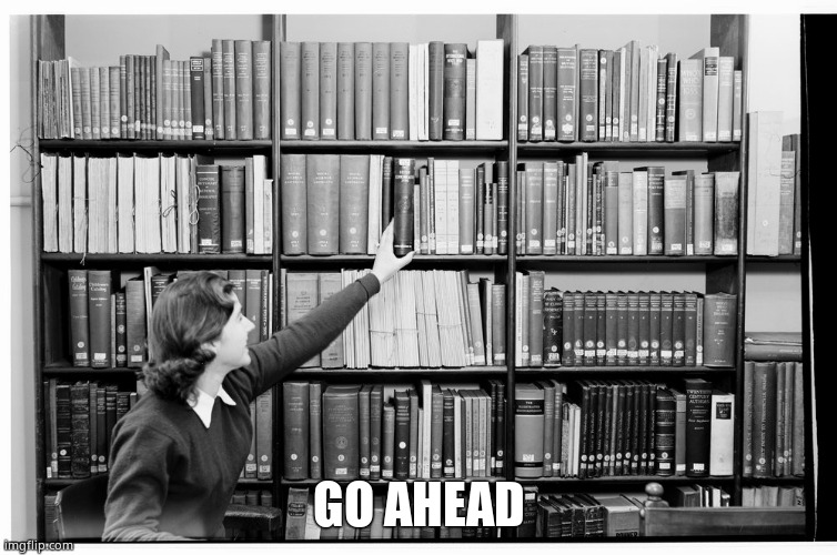 librarian | GO AHEAD | image tagged in librarian | made w/ Imgflip meme maker