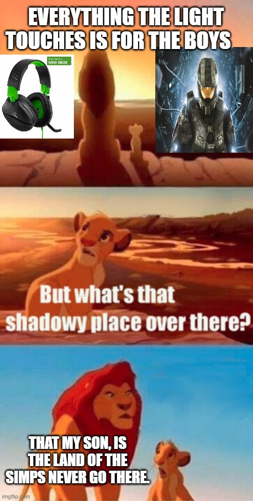 everything is for the boys | EVERYTHING THE LIGHT TOUCHES IS FOR THE BOYS; THAT MY SON, IS THE LAND OF THE SIMPS NEVER GO THERE. | image tagged in memes,simba shadowy place | made w/ Imgflip meme maker