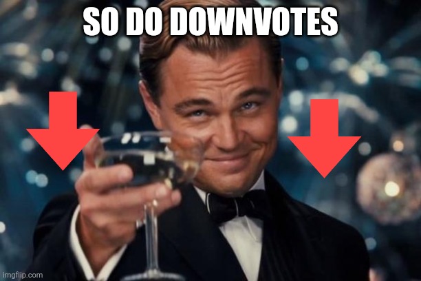 Leonardo Dicaprio Cheers Meme | SO DO DOWNVOTES | image tagged in memes,leonardo dicaprio cheers | made w/ Imgflip meme maker