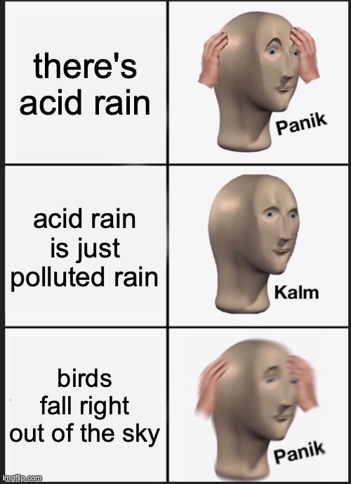 Panik Kalm Panik Meme | there's acid rain; acid rain is just polluted rain; birds fall right out of the sky | image tagged in memes,panik kalm panik | made w/ Imgflip meme maker