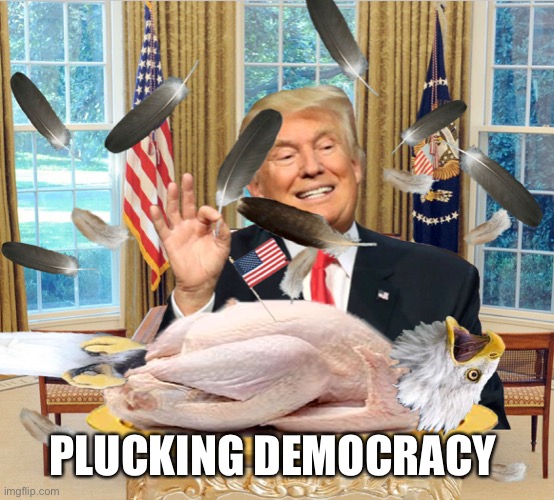 Trump’s Speciality | PLUCKING DEMOCRACY | image tagged in democracy,donald trump you're fired,donald trump,thanksgiving,patriotic eagle,looser | made w/ Imgflip meme maker