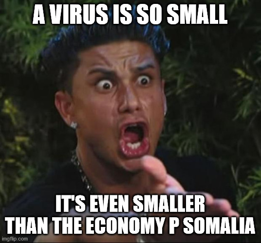 DJ Pauly D | A VIRUS IS SO SMALL; IT'S EVEN SMALLER THAN THE ECONOMY P SOMALIA | image tagged in memes,dj pauly d | made w/ Imgflip meme maker