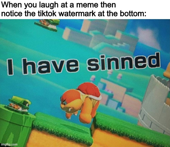 I have sinned | When you laugh at a meme then notice the tiktok watermark at the bottom: | image tagged in i have sinned | made w/ Imgflip meme maker