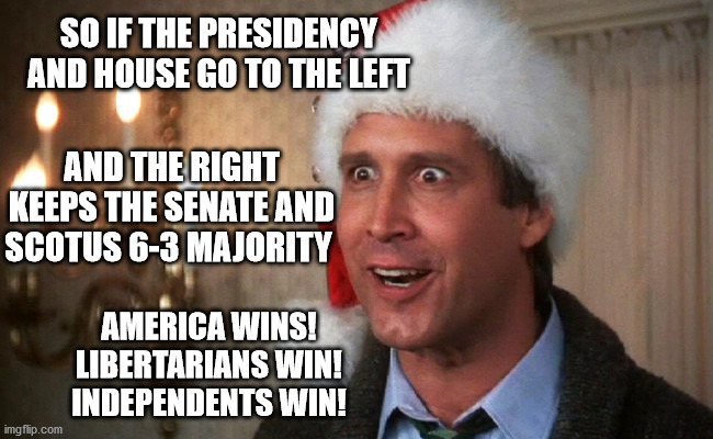 Libertarian Christmas | SO IF THE PRESIDENCY AND HOUSE GO TO THE LEFT; AND THE RIGHT KEEPS THE SENATE AND SCOTUS 6-3 MAJORITY; AMERICA WINS!
LIBERTARIANS WIN!
INDEPENDENTS WIN! | image tagged in clark griswold,divided tyranny,libertarian | made w/ Imgflip meme maker