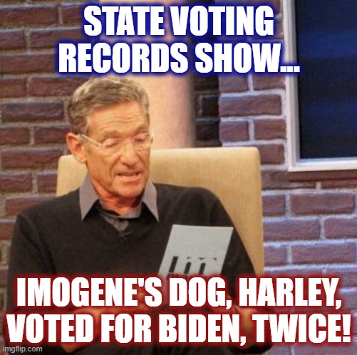 Maury Lie Detector | STATE VOTING RECORDS SHOW... IMOGENE'S DOG, HARLEY, VOTED FOR BIDEN, TWICE! | image tagged in memes,maury lie detector | made w/ Imgflip meme maker