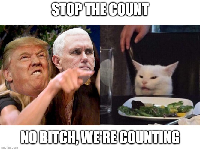 Smudge the Trump | STOP THE COUNT; NO BITCH, WE'RE COUNTING | image tagged in smudge the trump | made w/ Imgflip meme maker