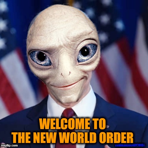 They're getting tired of Humans screwing up the Earth so by 2024 we should be ready for their New World Order | WELCOME TO THE NEW WORLD ORDER | image tagged in paul alien politician,new world order,aliens,this is beyond science,sci-fi,save the earth | made w/ Imgflip meme maker