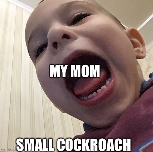 Just panik no kalm | MY MOM; SMALL COCKROACH | image tagged in panik | made w/ Imgflip meme maker