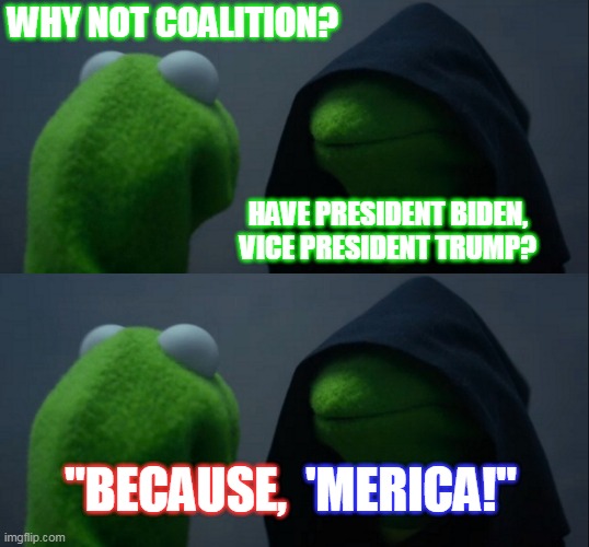 America be like. | WHY NOT COALITION? HAVE PRESIDENT BIDEN, VICE PRESIDENT TRUMP? 'MERICA!"; "BECAUSE, | image tagged in memes,evil kermit,democracy,election 2020,politics,usa | made w/ Imgflip meme maker