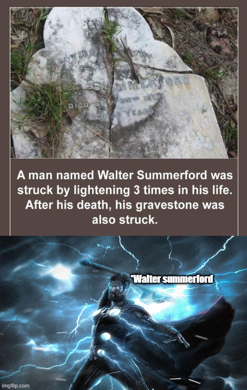 *Walter summerford | image tagged in funny memes | made w/ Imgflip meme maker