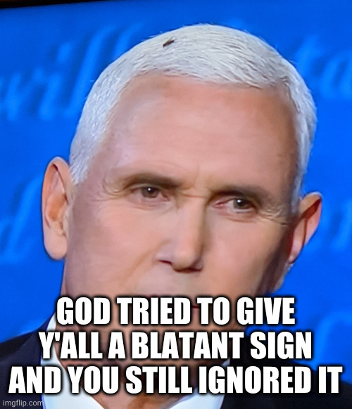 Mike Pence Fly | GOD TRIED TO GIVE Y'ALL A BLATANT SIGN AND YOU STILL IGNORED IT | image tagged in mike pence fly | made w/ Imgflip meme maker