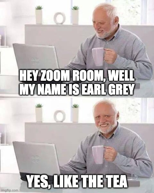 Earl Grey | HEY ZOOM ROOM, WELL MY NAME IS EARL GREY; YES, LIKE THE TEA | image tagged in memes,hide the pain harold | made w/ Imgflip meme maker