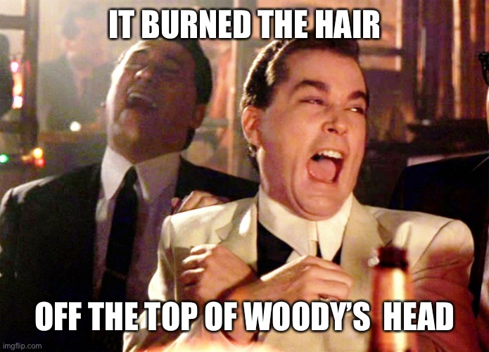 Good Fellas Hilarious Meme | IT BURNED THE HAIR OFF THE TOP OF WOODY’S  HEAD | image tagged in memes,good fellas hilarious | made w/ Imgflip meme maker