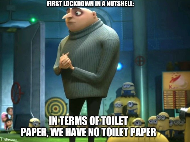 first lockdown in a nutshell | FIRST LOCKDOWN IN A NUTSHELL:; IN TERMS OF TOILET PAPER, WE HAVE NO TOILET PAPER | image tagged in in terms of money we have no money,lockdown,covid19,toilet paper | made w/ Imgflip meme maker