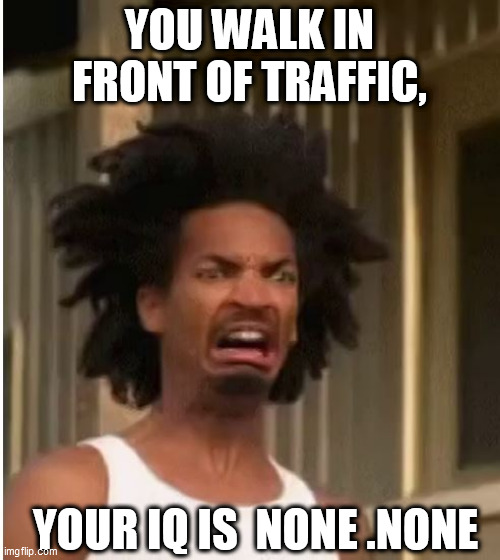 YOU WALK IN FRONT OF TRAFFIC, YOUR IQ IS  NONE .NONE | made w/ Imgflip meme maker