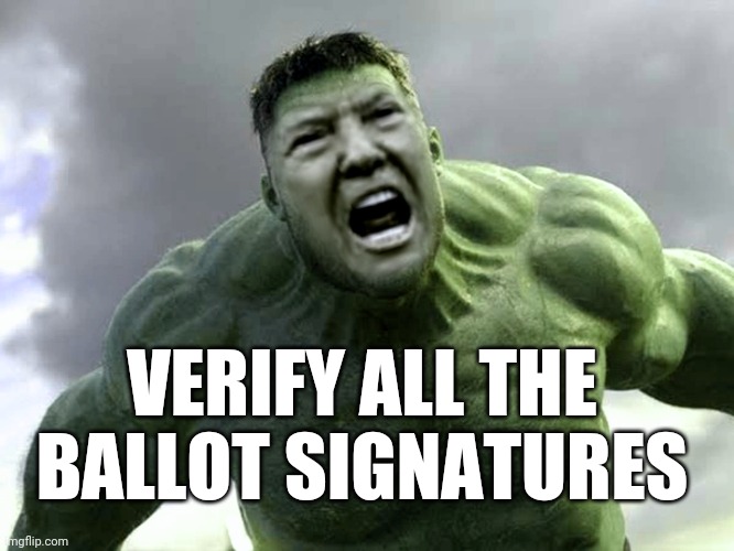 ELECTION: Ballot Fraud / Trump Counting Law Suit / Voter Protests - Biden Michigan Wisconsin Pennsylvania Swindle - Media Lies | VERIFY ALL THE BALLOT SIGNATURES | image tagged in hulk trump,media,election,trump,vote,marvel | made w/ Imgflip meme maker