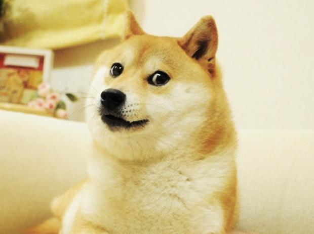 High Quality doge Blank Meme Template