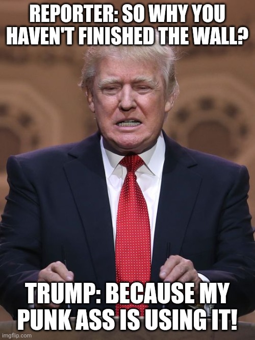 Donald Trump | REPORTER: SO WHY YOU HAVEN'T FINISHED THE WALL? TRUMP: BECAUSE MY PUNK ASS IS USING IT! | image tagged in donald trump | made w/ Imgflip meme maker