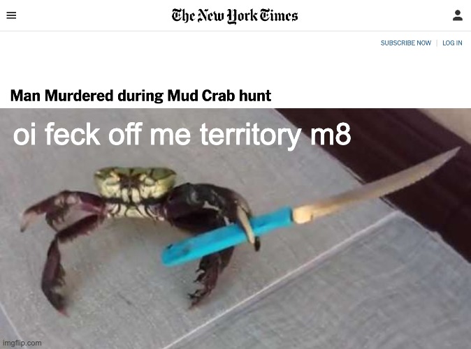 oi feck off me territory m8 | image tagged in crab with knife | made w/ Imgflip meme maker
