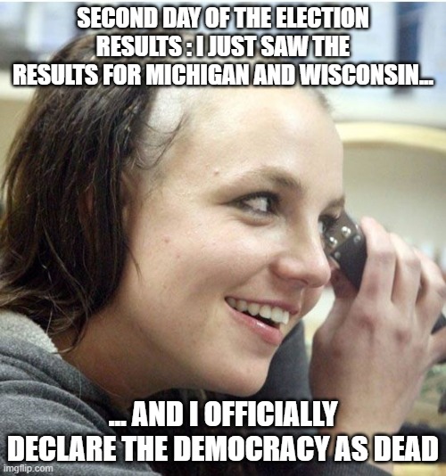 Why, why, WHYYYYYYYYYYYYYYYYYYYYYYYYYYYYYYYYYYY ???? | SECOND DAY OF THE ELECTION RESULTS : I JUST SAW THE RESULTS FOR MICHIGAN AND WISCONSIN... ... AND I OFFICIALLY DECLARE THE DEMOCRACY AS DEAD | image tagged in britney spears,memes,election results,stressed out | made w/ Imgflip meme maker