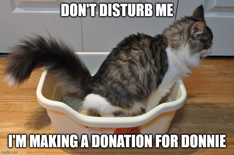 DON'T DISTURB ME I'M MAKING A DONATION FOR DONNIE | made w/ Imgflip meme maker