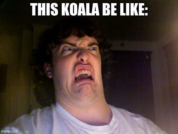 Oh No Meme | THIS KOALA BE LIKE: | image tagged in memes,oh no | made w/ Imgflip meme maker