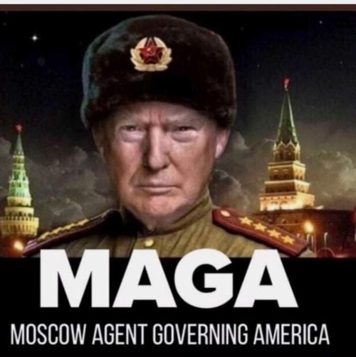MAGA part II | image tagged in trumplethinskin | made w/ Imgflip meme maker