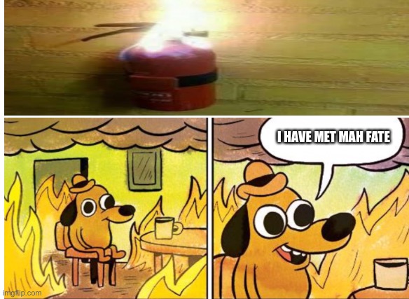 R.I.P | I HAVE MET MAH FATE | image tagged in this is fine blank | made w/ Imgflip meme maker